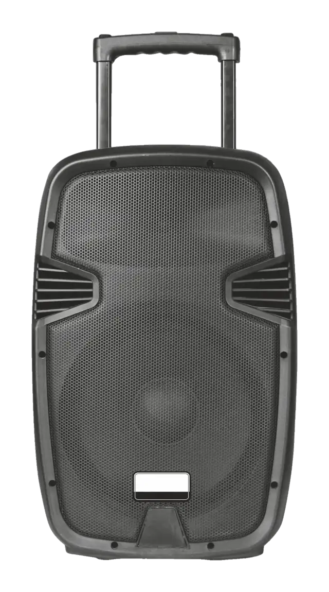 Акустическая система с аккумулятором AudioVision FREESOUND BT50