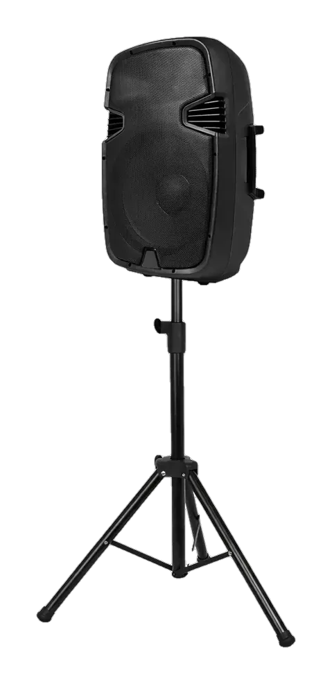 Музыкальный центр AudioVision Bass Eco